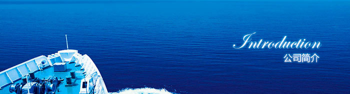 任县滏阳仪表机床厂